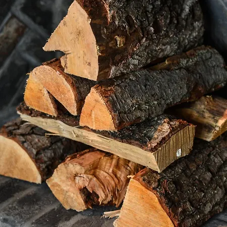 Oceans18 * Wenningstedt-Braderup